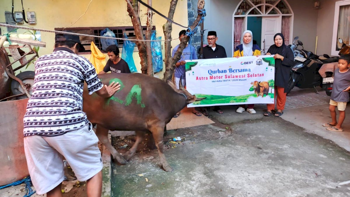 Asmo Sulsel Serahkan Satu Ekor Sapi Kurban untuk Warga Mangasa Makassar
