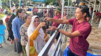 PLN UIP Sulawesi Salurkan 13 Hewan Kurban pada Iduladha 1447 H