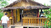 Di Balik Aroma Kopi Oishii: Transformasi Ekonomi UMK Batui Bersama PLN UIP Sulawesi