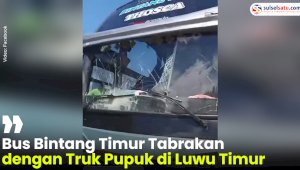 VIDEO: Bus Bintang Timur Tabrakan dengan Truk Pupuk di Luwu Timur