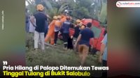 VIDEO: Pria Hilang di Palopo Ditemukan Tewas Tinggal Tulang di Bukit Salobulo