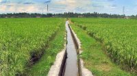 Rudianto Lallo Dorong Penanganan Profesional Dugaan Penyimpangan Proyek P3A di Takalar