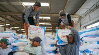 Pupuk Indonesia Pastikan Penyaluran Pupuk Subsidi di Sulsel Sesuai Prinsip 7T
