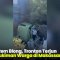 VIDEO: Diduga Rem Blong, Tronton Terjun ke Permukiman Warga di Makassar