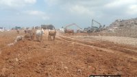 Menuju Sanitary Landfill, Pemkot Makassar Benahi TPA Antang dengan Sistem Cover Soil