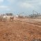 Menuju Sanitary Landfill, Pemkot Makassar Benahi TPA Antang dengan Sistem Cover Soil