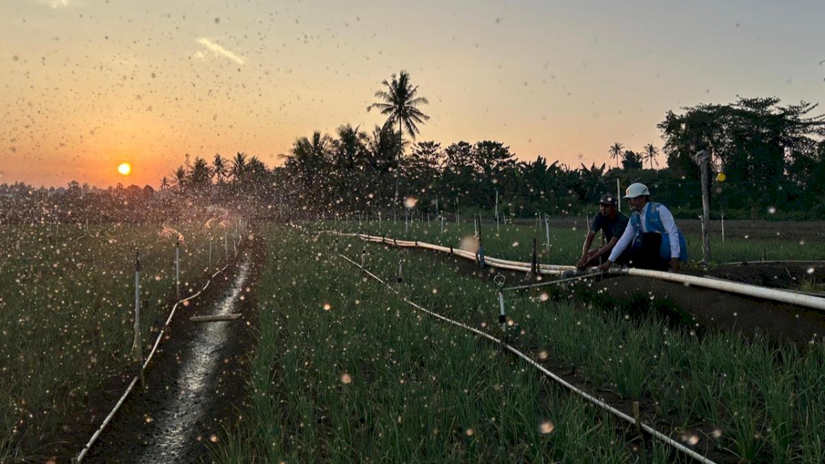 Pemerintah Putuskan Tarif Listrik Triwulan III 2026 Tetap, PLN Siap Jaga Keandalan Pasokan