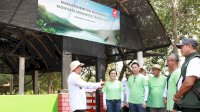 AHM Bangun Rumah Bibit dan Tanam 15.000 Mangrove di Karawang