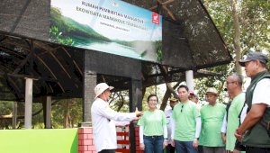 AHM Bangun Rumah Bibit dan Tanam 15.000 Mangrove di Karawang