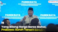 VIDEO: Yang Bilang Harga Beras Mahal, Prabowo: Suruh Tanam Sendiri!