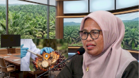 Demi Kepastian Harga untuk Petani, Pimpinan DPRD Dorong Standar Rendemen TBS di Lutim
