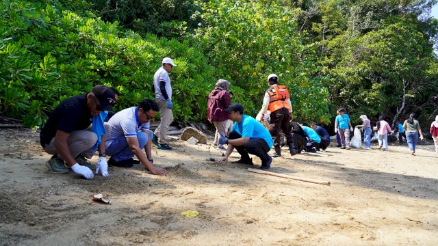 PT Vale kolaborasi tanam mangrove perkuat ekosistem pesisir. Foto: Istimewa.