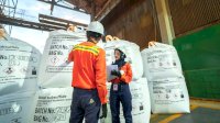 PT Vale Perkuat Hilirisasi Nikel, Produksi Semester I 2026 Hampir 30 Ribu Ton