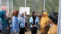 Dorong Produktivitas KWT di Luwu Timur, PLN UIP Sulawesi Bangun Greenhouse dan Rumah Kompos