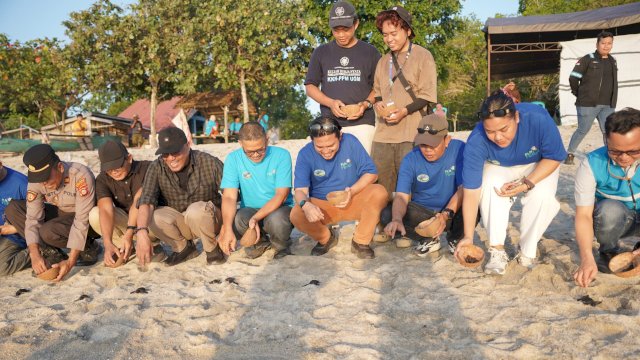 PLN dukung kelestarian ekosistem pesisir Donggala lewat program Konservasi Penyu. Foto: Istimewa.