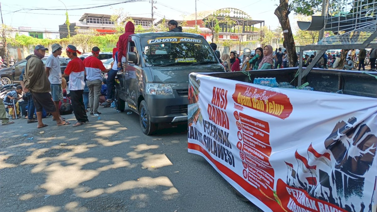 4 Bulan Merugi, Peternak Sulsel Bagikan Ayam Gratis: Kami Sudah Tak Sanggup