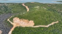 Kedok APL Mulai Terbongkar, Gakkum Buru Jaringan Mafia Perambahan Hutan Lindung Loeha