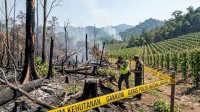 Penyidik Kantongi Dalang Sindikat Penjual Lahan Negara, Gakkum Bidik Pentolan APL Loeha Raya