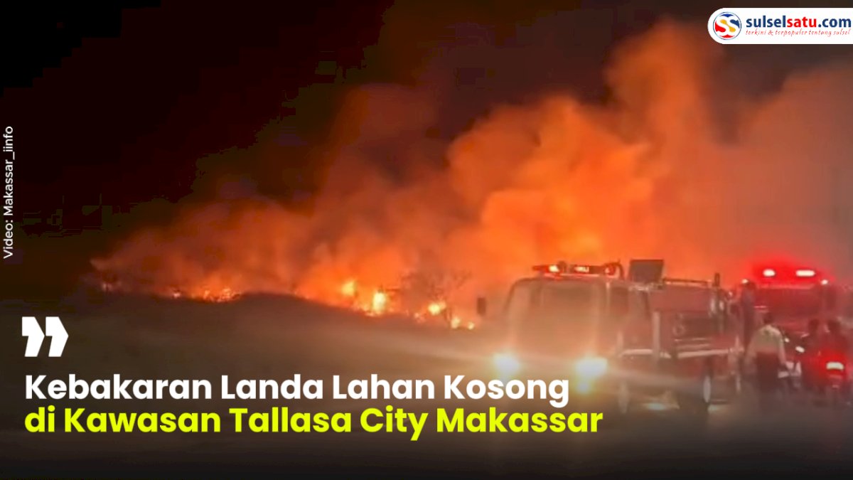 VIDEO: Kebakaran Landa Lahan Kosong di Kawasan Tallasa City Makassar