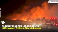 VIDEO: Kebakaran Landa Lahan Kosong di Kawasan Tallasa City Makassar