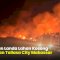 VIDEO: Kebakaran Landa Lahan Kosong di Kawasan Tallasa City Makassar
