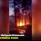 VIDEO: Kebakaran Melanda Kawasan Hutan Pinus Malino Gowa