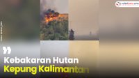 VIDEO: Kebakaran Hutan Kepung Kalimantan