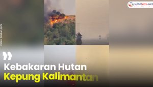 VIDEO: Kebakaran Hutan Kepung Kalimantan