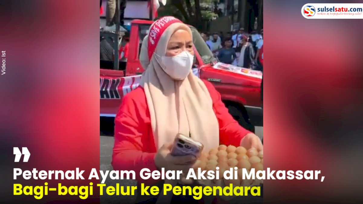 VIDEO: Peternak Ayam Gelar Aksi di Makassar, Bagi-bagi Telur ke Pengendara
