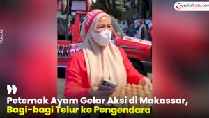 VIDEO: Peternak Ayam Gelar Aksi di Makassar, Bagi-bagi Telur ke Pengendara