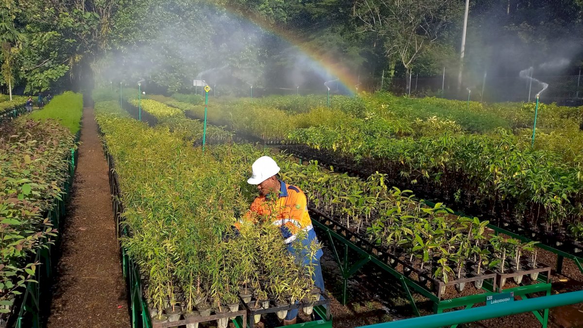 Ketika Lahan Bekas Tambang Menjadi Rumah Kehidupan