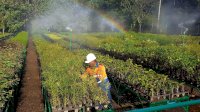 Ketika Lahan Bekas Tambang Menjadi Rumah Kehidupan