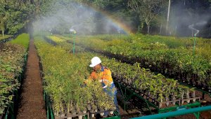 Ketika Lahan Bekas Tambang Menjadi Rumah Kehidupan