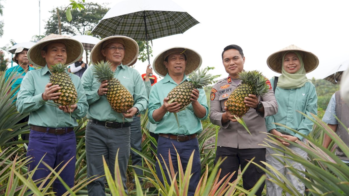 Lahan Kritis Berbuah, Ekosistem Pesisir Terjaga