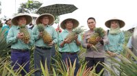Lahan Kritis Berbuah, Ekosistem Pesisir Terjaga