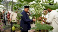 Bukit Baruga Kembangkan Urban Farming Terintegrasi, Berpeluang Jadi Percontohan di Makassar