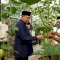 Bukit Baruga Kembangkan Urban Farming Terintegrasi, Berpeluang Jadi Percontohan di Makassar