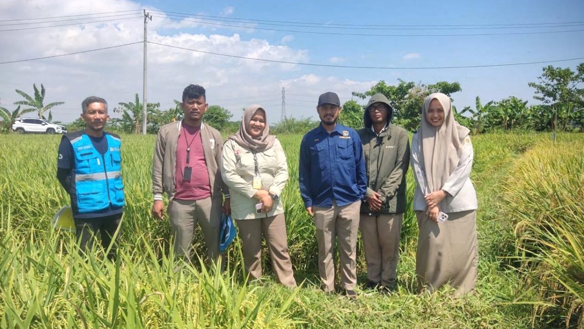 KKPR Tiga Proyek Terbit, PLN UIP Sulawesi Lanjutkan Pembebasan Lahan