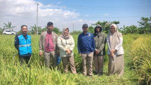 KKPR Tiga Proyek Terbit, PLN UIP Sulawesi Lanjutkan Pembebasan Lahan