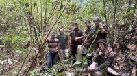 PLN dan BPKH Palu Evaluasi Penggunaan Kawasan Hutan untuk Jalur SUTT Luwuk&ndash;Toili