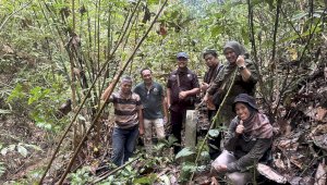 PLN dan BPKH Palu Evaluasi Penggunaan Kawasan Hutan untuk Jalur SUTT Luwuk&ndash;Toili