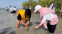 Field Trip Science Athirah Ajak 133 Siswa Tanam Mangrove di Puntondo