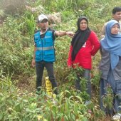PLN dan Lima Kantor Pertanahan BPN Tinjau Tapak SUTET 275 kV Palopo-Bakaru