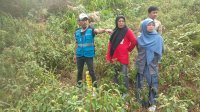 PLN dan Lima Kantor Pertanahan BPN Tinjau Tapak SUTET 275 kV Palopo-Bakaru