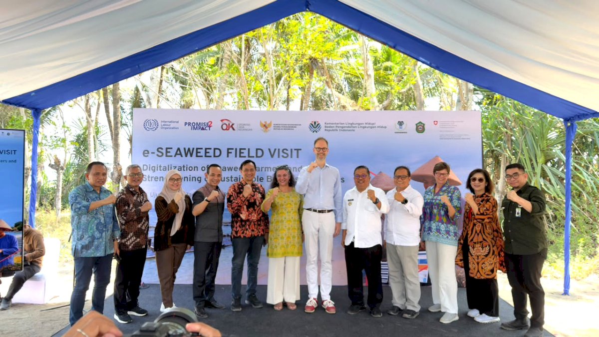 OJK Dorong Inklusi Keuangan Petani Rumput Laut Lewat e-Seaweed, 200 Petani Telah Terdaftar