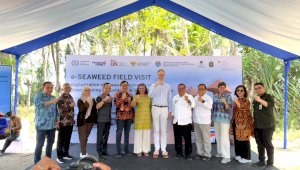 OJK Dorong Inklusi Keuangan Petani Rumput Laut Lewat e-Seaweed, 200 Petani Telah Terdaftar