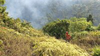 Gakkum Ingatkan Petani Patuhi Aturan Penggunaan Kawasan Hutan