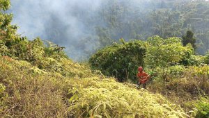 Gakkum Ingatkan Petani Patuhi Aturan Penggunaan Kawasan Hutan