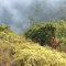 Gakkum Ingatkan Petani Patuhi Aturan Penggunaan Kawasan Hutan