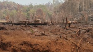 Warga Loeha Raya Desak Gakkum Usut Tuntas Pembakaran Hutan